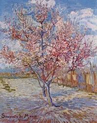 Parcelle d